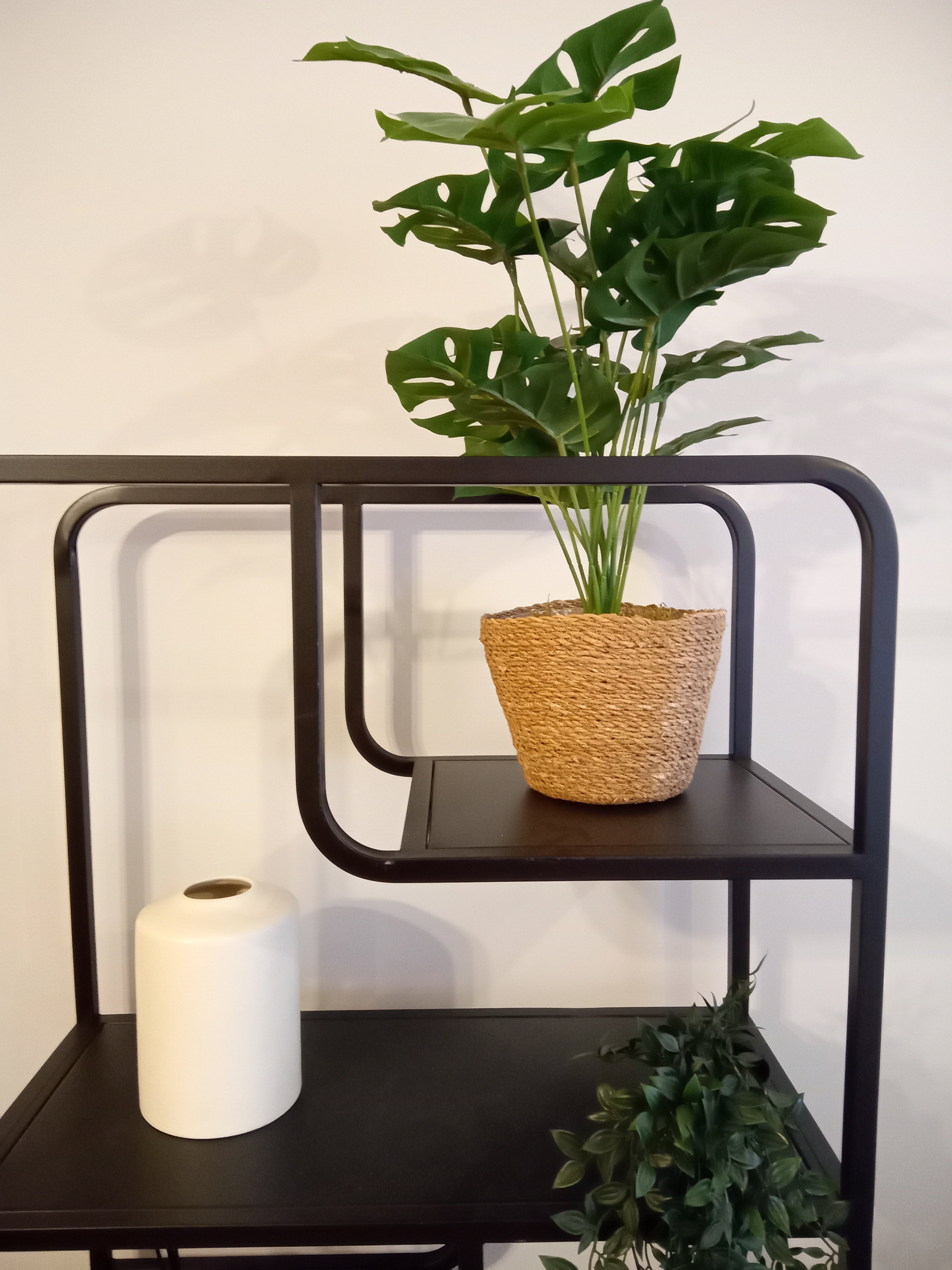 Yapay Bitki Küçük